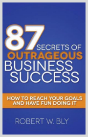 87 Secrets of Outrageous Business Success ebook